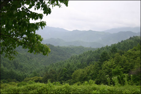 송한리에서 바라본 언저리 선경(仙境) 